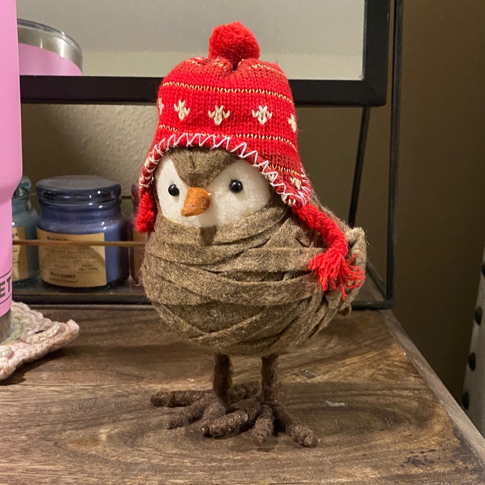 🌼 Felt Owl from Target Cozy Hat Owl